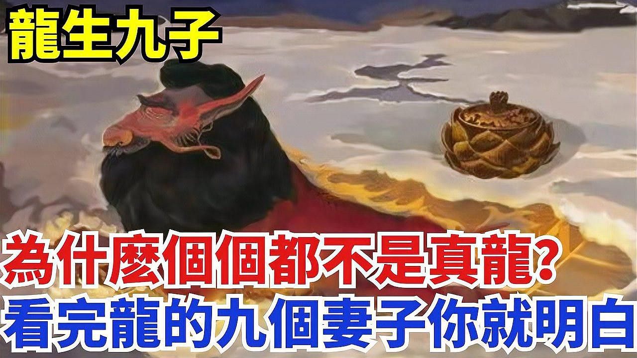 如何找到更多高清真龍圖片？ 如何找到更多高清真龍圖片？ 龍魚百科 第26張