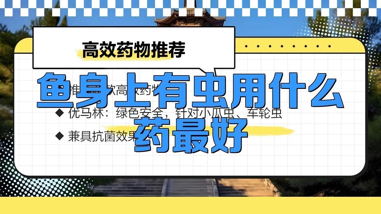 有哪些有效的龍魚寄生蟲藥物