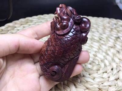龍魚(yú)頭頂花紋：如何挑選龍魚(yú)