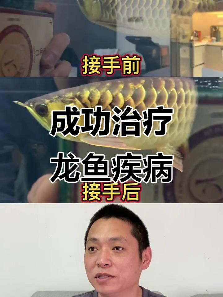 龍魚浮頭后還能恢復嗎？