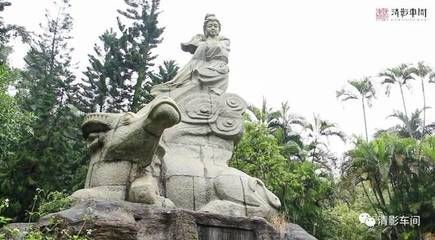 龍魚文化故事有哪些：龍魚文化故事