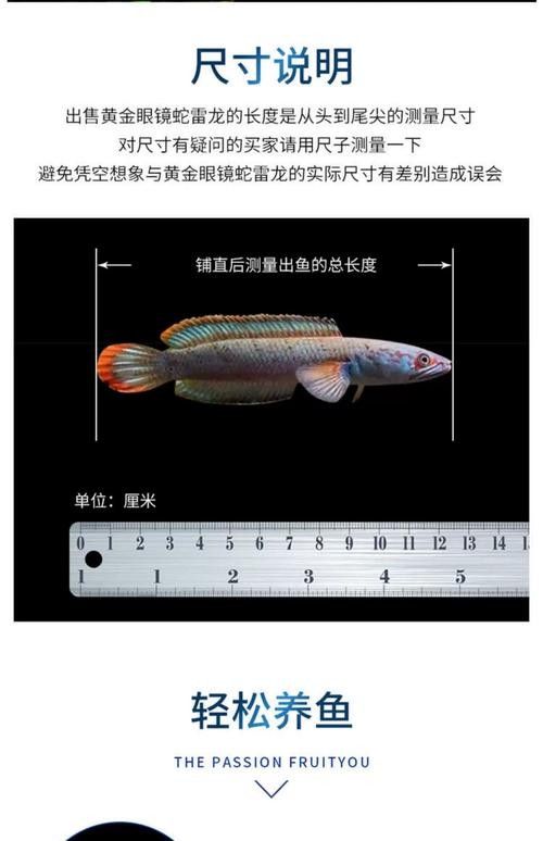 龍魚有冷水的品種嗎圖片