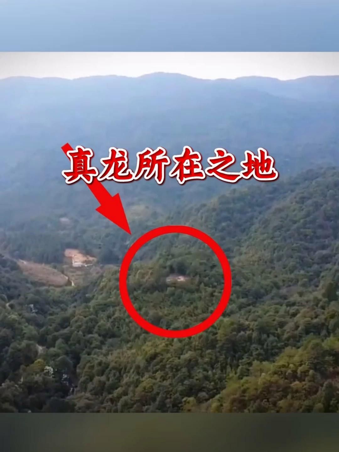 能否提供真龍大地的詳細介紹？
