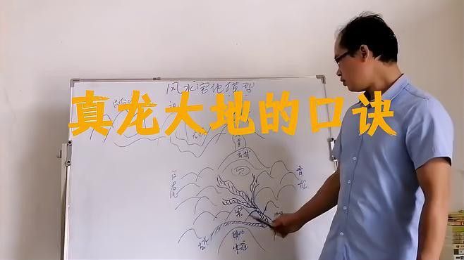 能否提供真龍大地的詳細介紹？