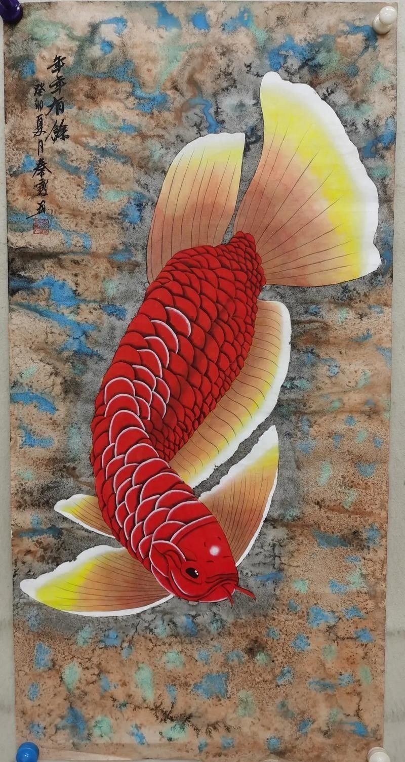 馬來西亞紅龍魚圖片高清壁紙豎屏