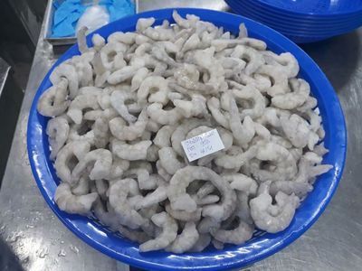 龍魚可以喂食冰凍蝦仁嗎