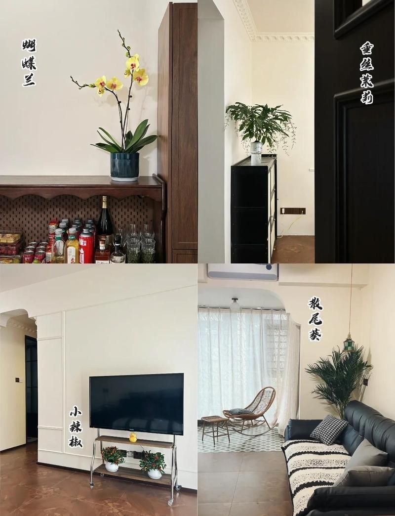 辣椒在玄學(xué)里代表什么