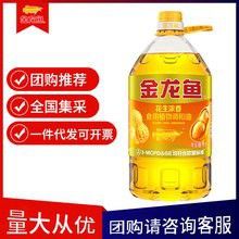 廣州金龍魚批發價格多少錢