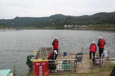紅龍魚怎么吃好吃視頻（紅龍魚怎么吃好吃視頻教程）