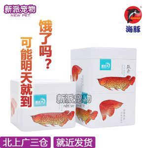 龍魚吃魚飼料嗎：龍魚可以吃魚飼料嗎