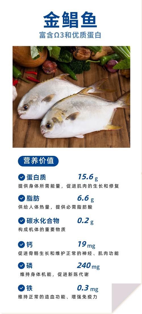 黃鰭鯧和龍魚混養注意事項圖片大全大圖
