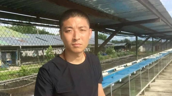 龍魚國內繁殖不了嗎：龍魚在國內可以繁殖嗎？