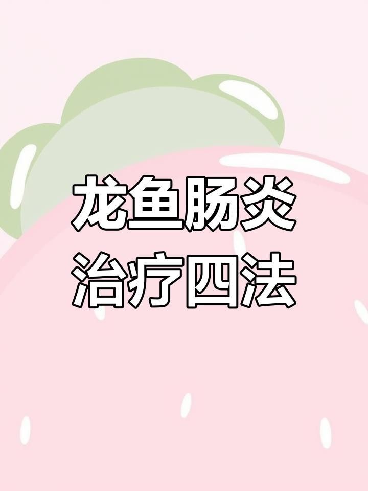 龍魚恢復期間應該喂什么食物？