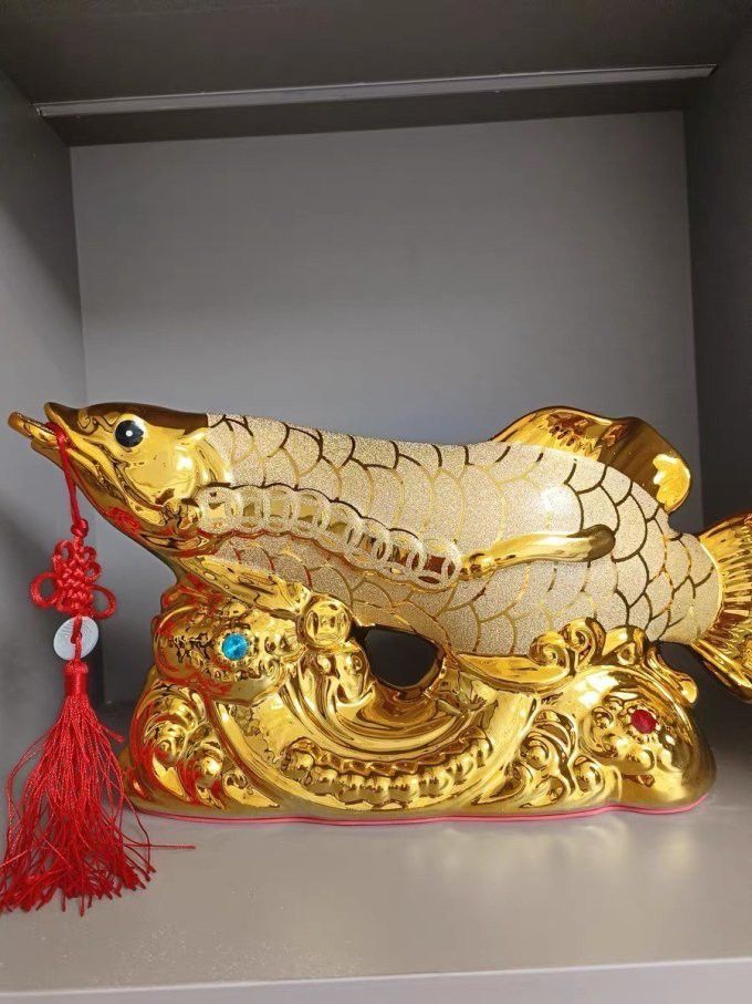 老鳳祥金龍魚擺件多錢 老鳳祥金龍魚擺件多錢 龍魚百科 第3張