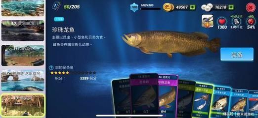 夏季龍魚溫度多少合適喂食：夏季養龍魚應根據品種調整水溫和喂食頻率和喂食頻率