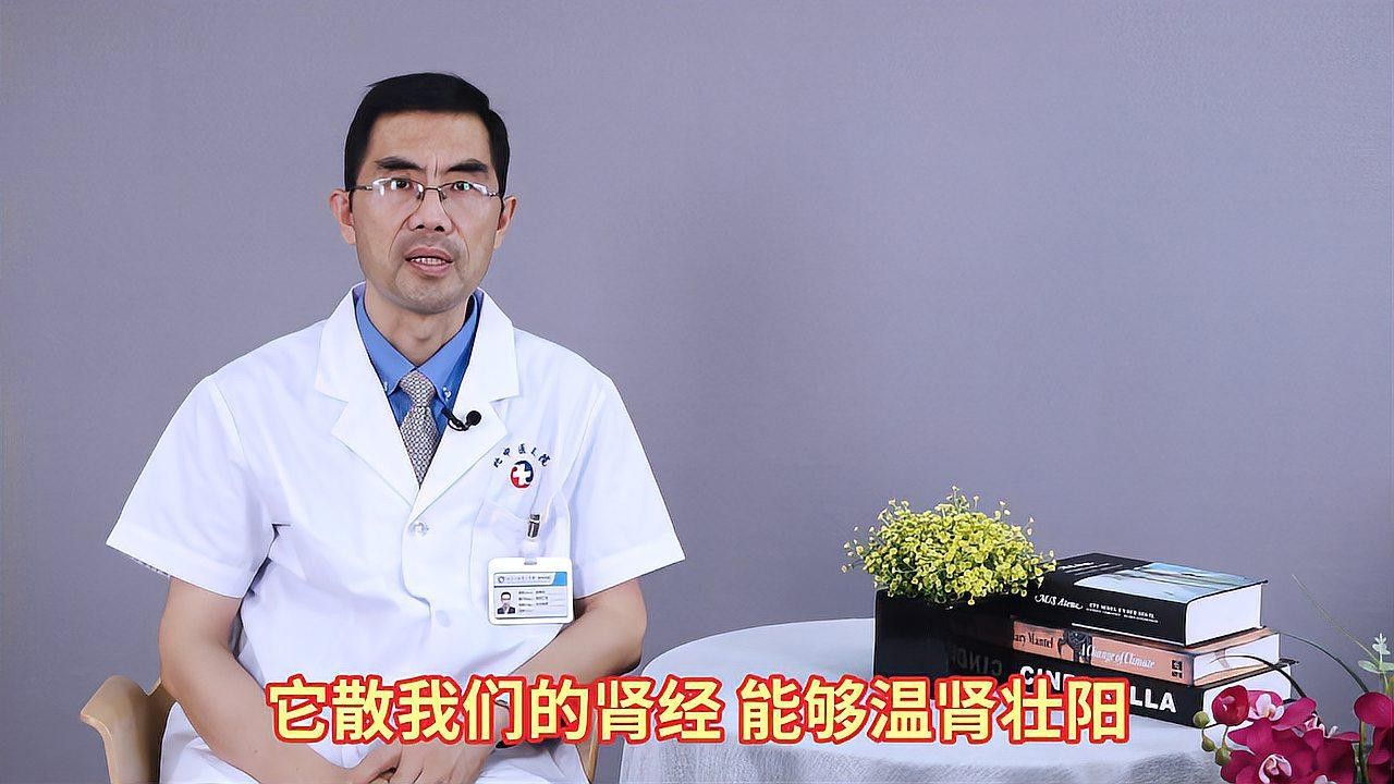 海馬和海龍有哪些功效？