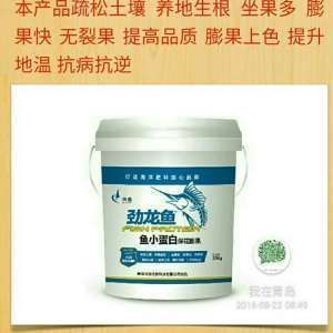 龍魚快養會地包：龍魚為什么會出現地包天？