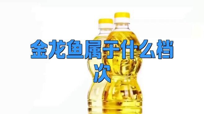 金龍魚品牌價值多少億