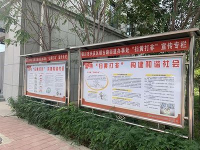 銀古魚苗過濾系統配置：銀古魚苗的健康成長