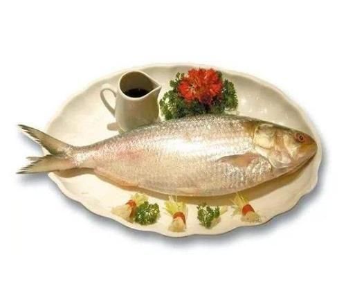 世界上最貴的四種魚，其中一種價值千萬元
