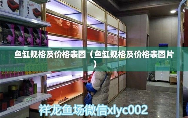 魚缸多少錢（如何選擇適合自己魚缸）