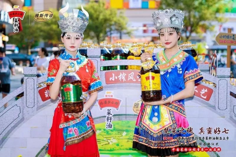 金龍魚(yú)芯片在哪里買 金龍魚(yú)芯片在哪里買 龍魚(yú)百科 第9張