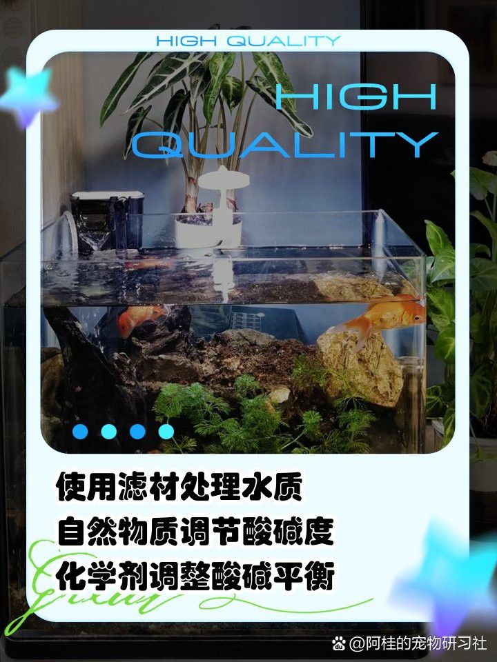 如何設(shè)置古龍魚缸的水質(zhì)參數(shù)？