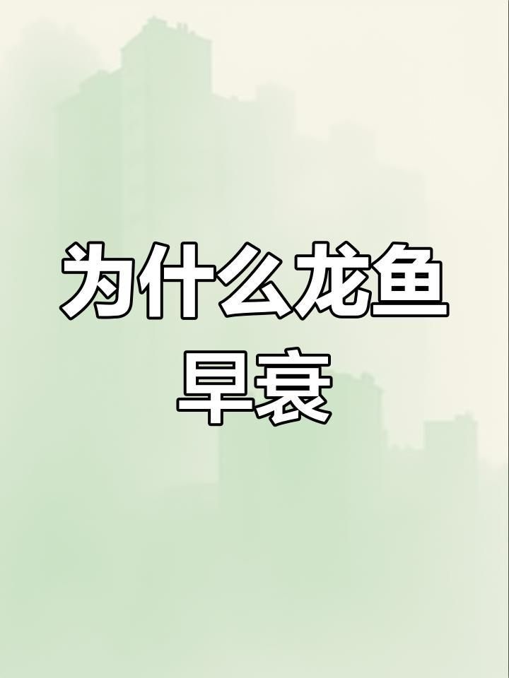 龍魚的壽命 龍魚的壽命 龍魚百科 第7張