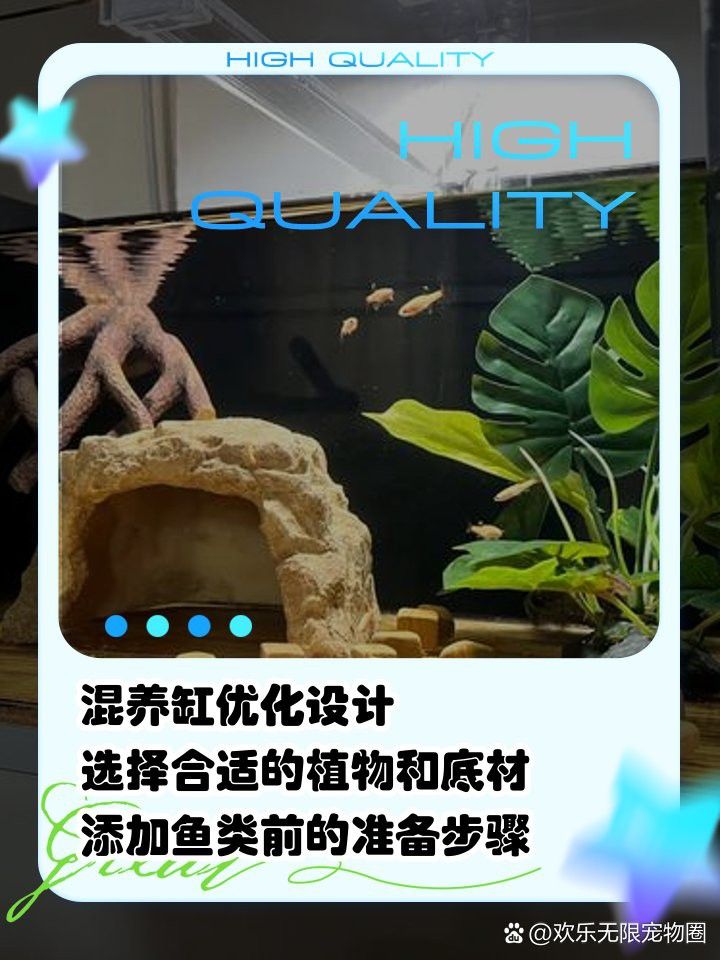 如何設(shè)置龍魚和烏龜?shù)母綦x設(shè)施？