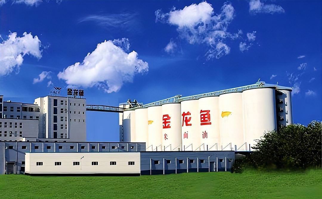 金龍魚年營業額 金龍魚年營業額 龍魚百科 第2張