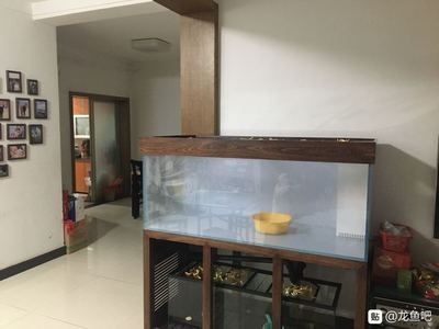 龍魚吃吃吐吐（龍魚吃吃吐吐的原因） 龍魚吃吃吐吐（龍魚吃吃吐吐的原因） 龍魚百科 第1張