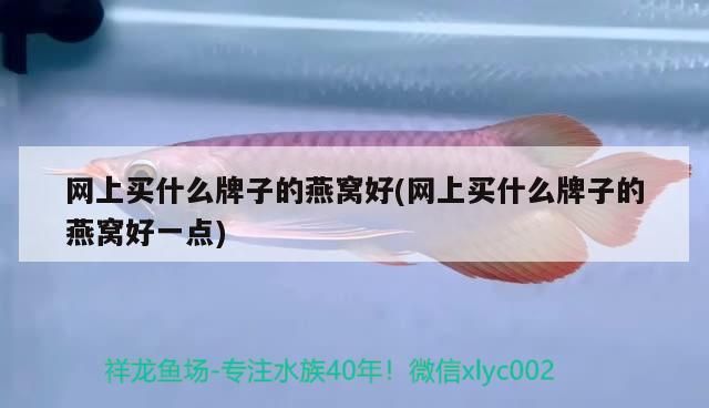 紅龍魚配什么魚：紅龍魚配什么魚養視頻