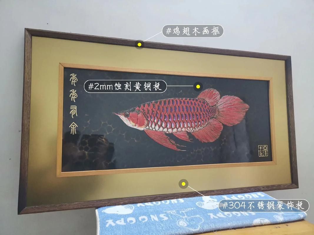 最漂亮的紅龍魚品種圖片欣賞