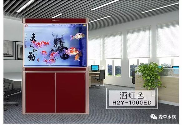 龍魚缸品牌 MH：mh龍魚養殖品牌