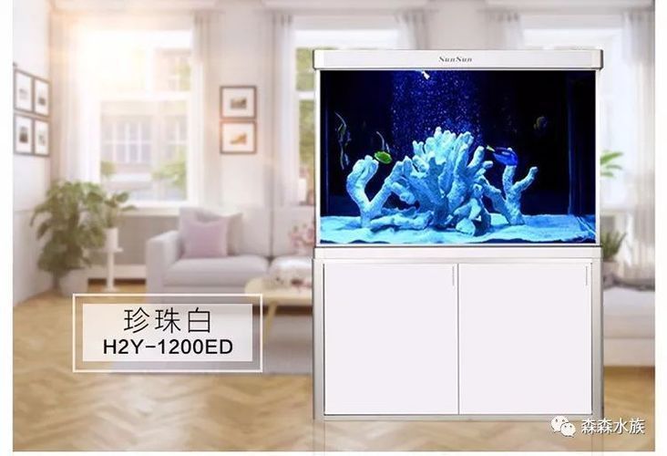 龍魚缸品牌 MH：mh龍魚養殖品牌