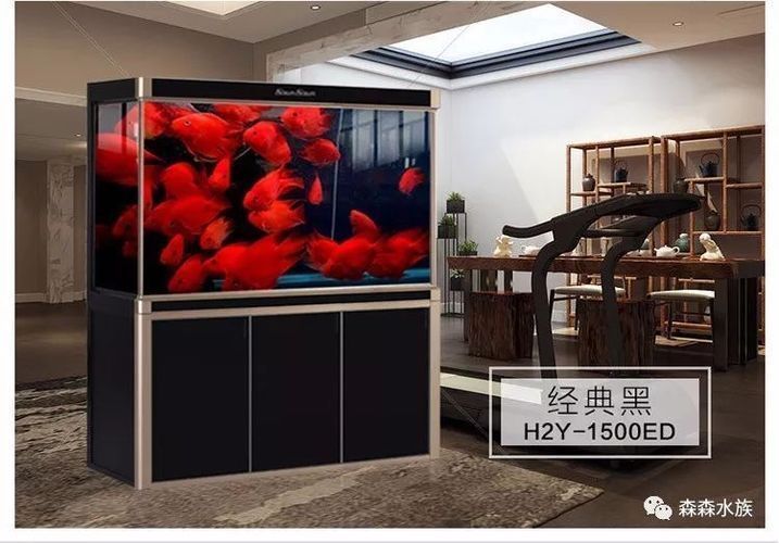 龍魚缸品牌 MH：mh龍魚養殖品牌