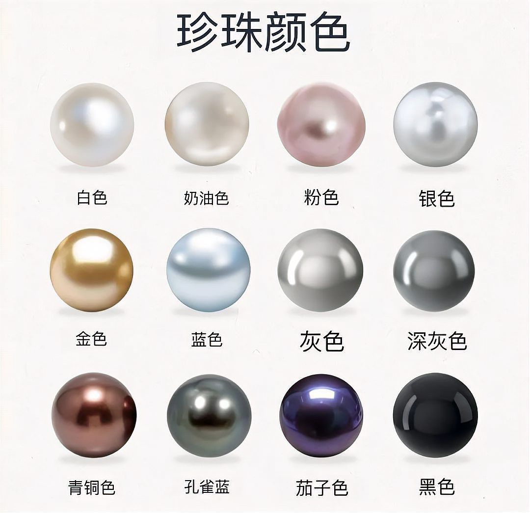 龍鱗珍珠貴還是珍珠貴