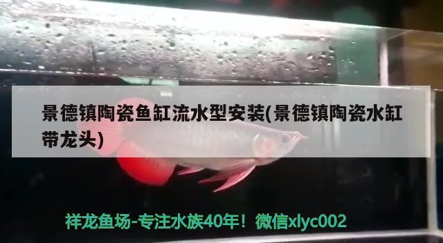景德鎮陶瓷魚缸流水型安裝(景德鎮陶瓷水缸帶龍頭)