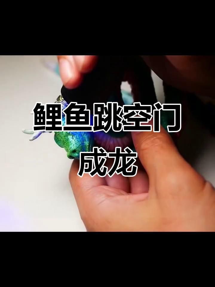 鯉魚對應(yīng)青龍