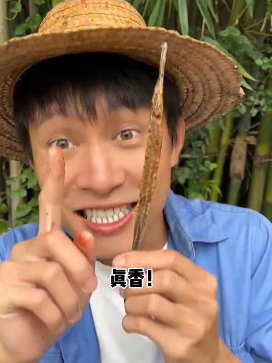如何區分真假海龍干？