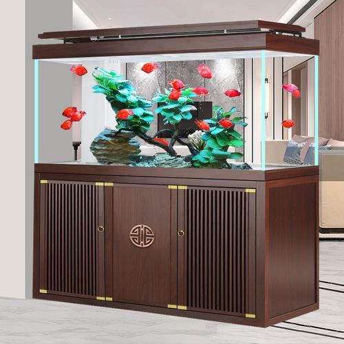 給我一些龍魚缸的擺放圖片參考