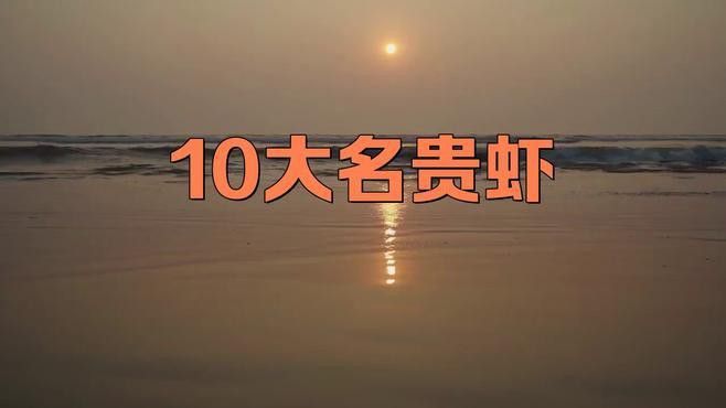 提供這十大龍蝦的詳細介紹 提供這十大龍蝦的詳細介紹 龍魚百科 第1張