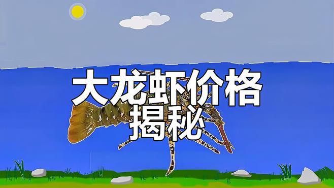 提供這十大龍蝦的詳細介紹 提供這十大龍蝦的詳細介紹 龍魚百科 第2張