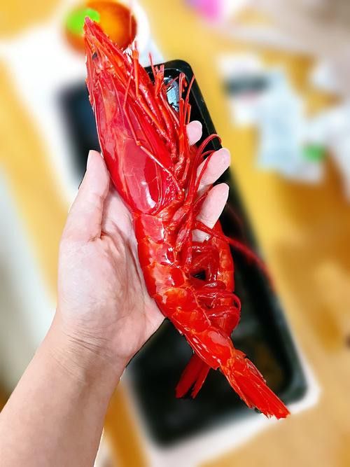 提供這十大龍蝦的詳細介紹 提供這十大龍蝦的詳細介紹 龍魚百科 第9張