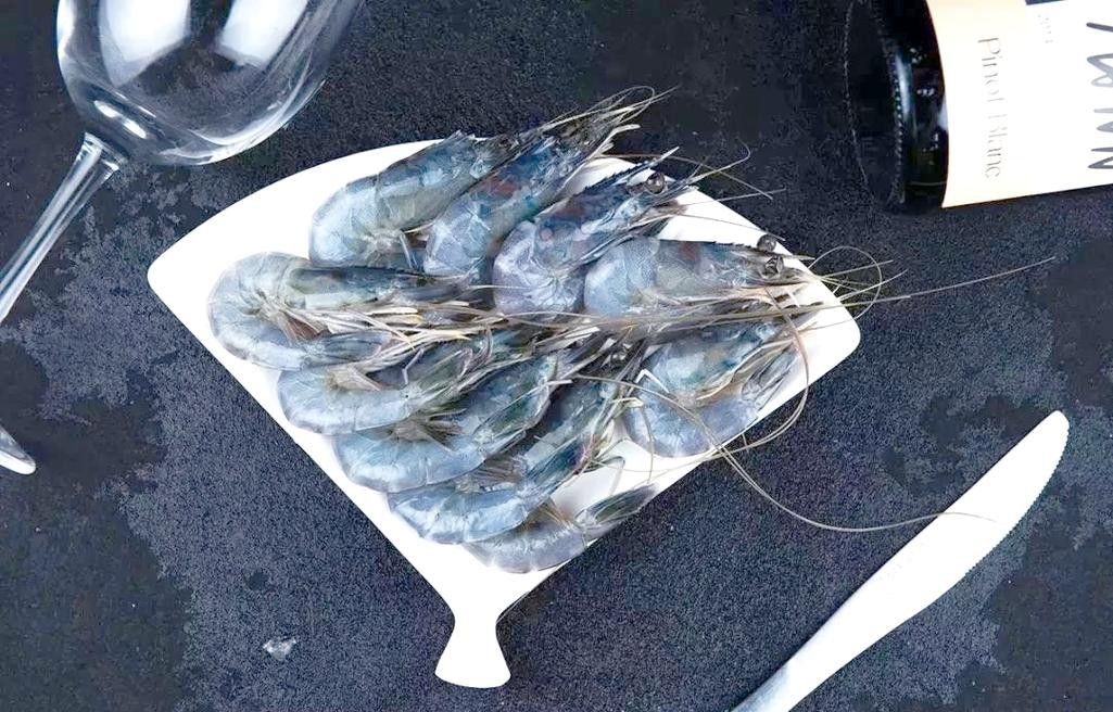 提供這十大龍蝦的詳細介紹 提供這十大龍蝦的詳細介紹 龍魚百科 第17張