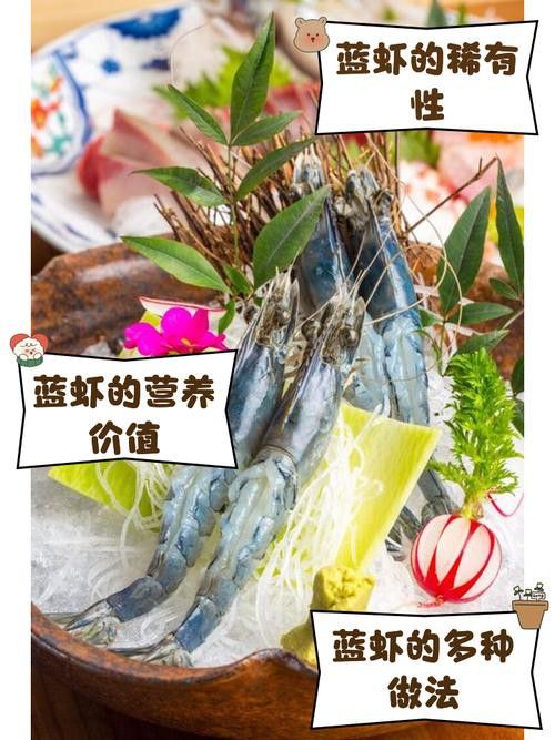 提供這十大龍蝦的詳細介紹 提供這十大龍蝦的詳細介紹 龍魚百科 第14張