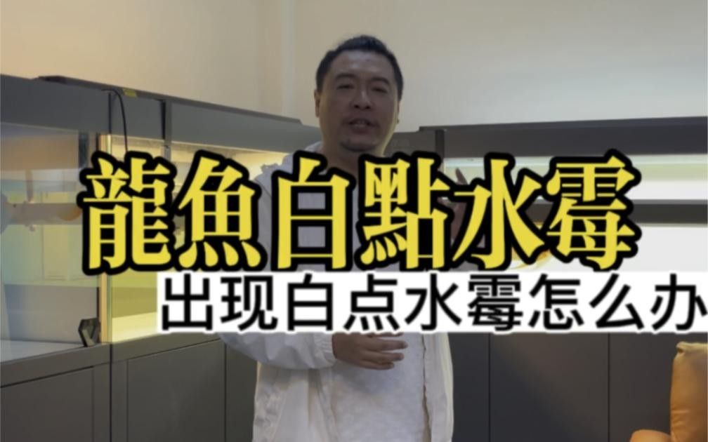 銀龍魚水霉病如何治療？