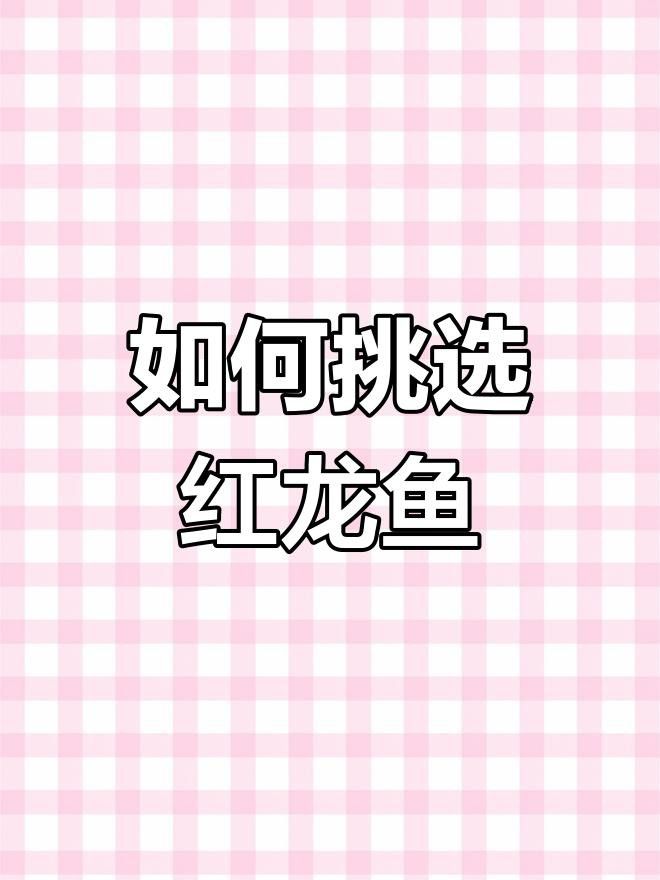 如何判斷紅龍魚幼苗的品質？