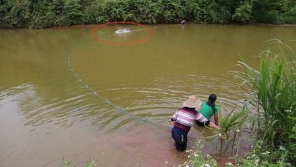 水龍魚燒湯做法：鮮美滋補的水龍魚湯，家常做法與烹飪技巧