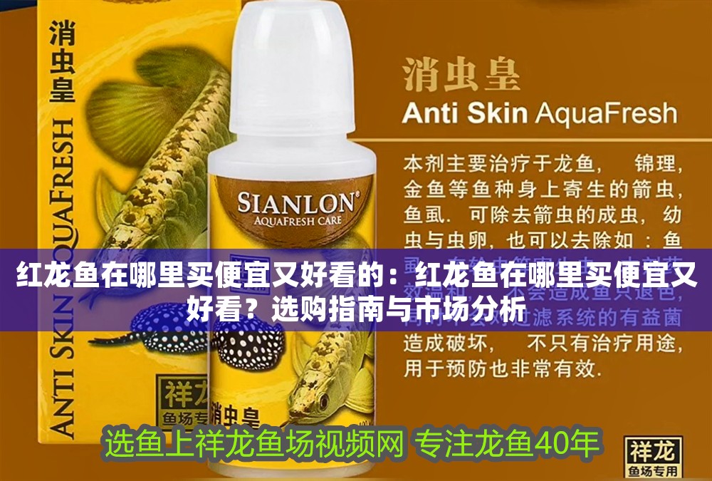 紅龍魚在哪里買便宜又好看的：紅龍魚在哪里買便宜又好看？選購指南與市場分析